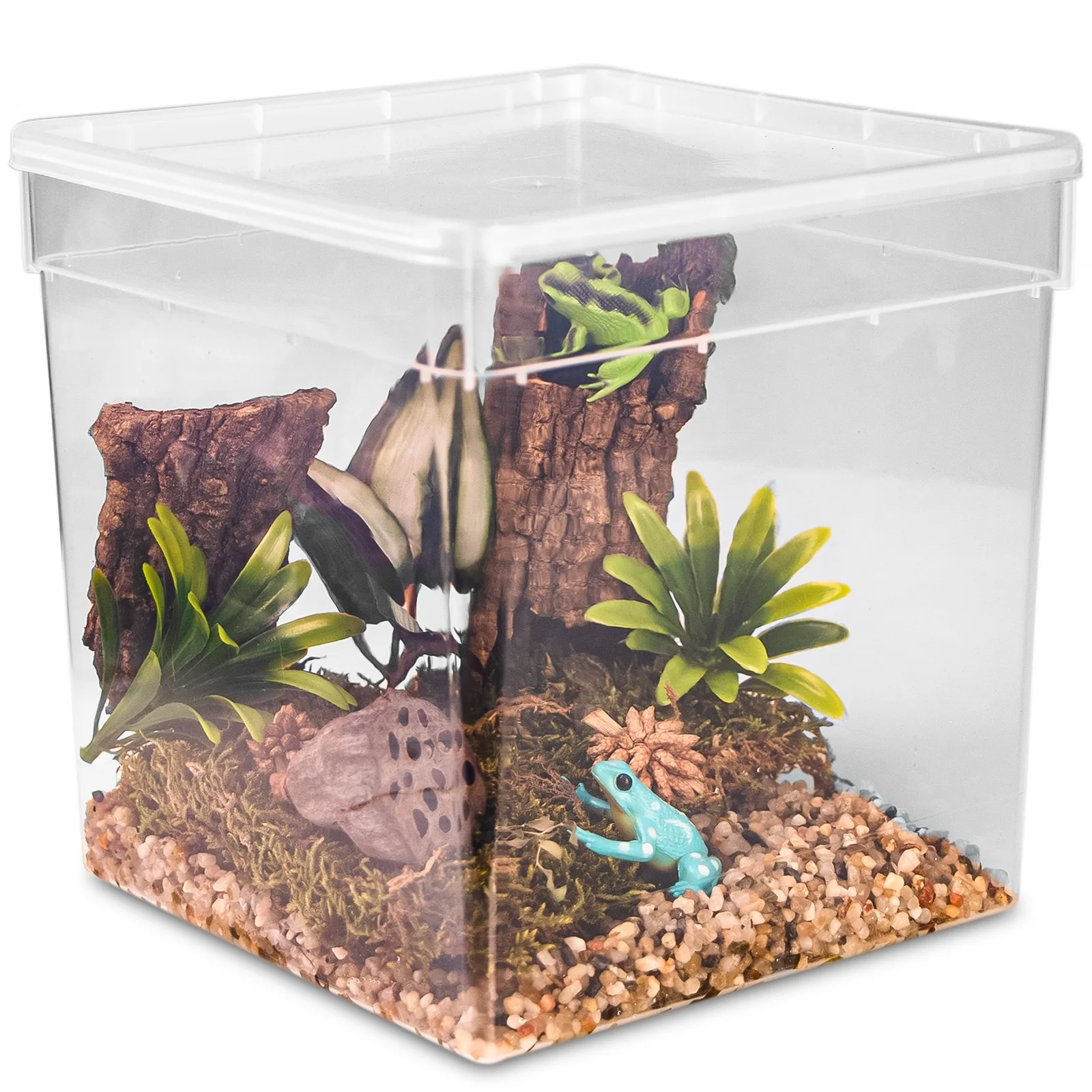 ReptiBox 19x19x19cm - przeźroczyste terrarium faunarium