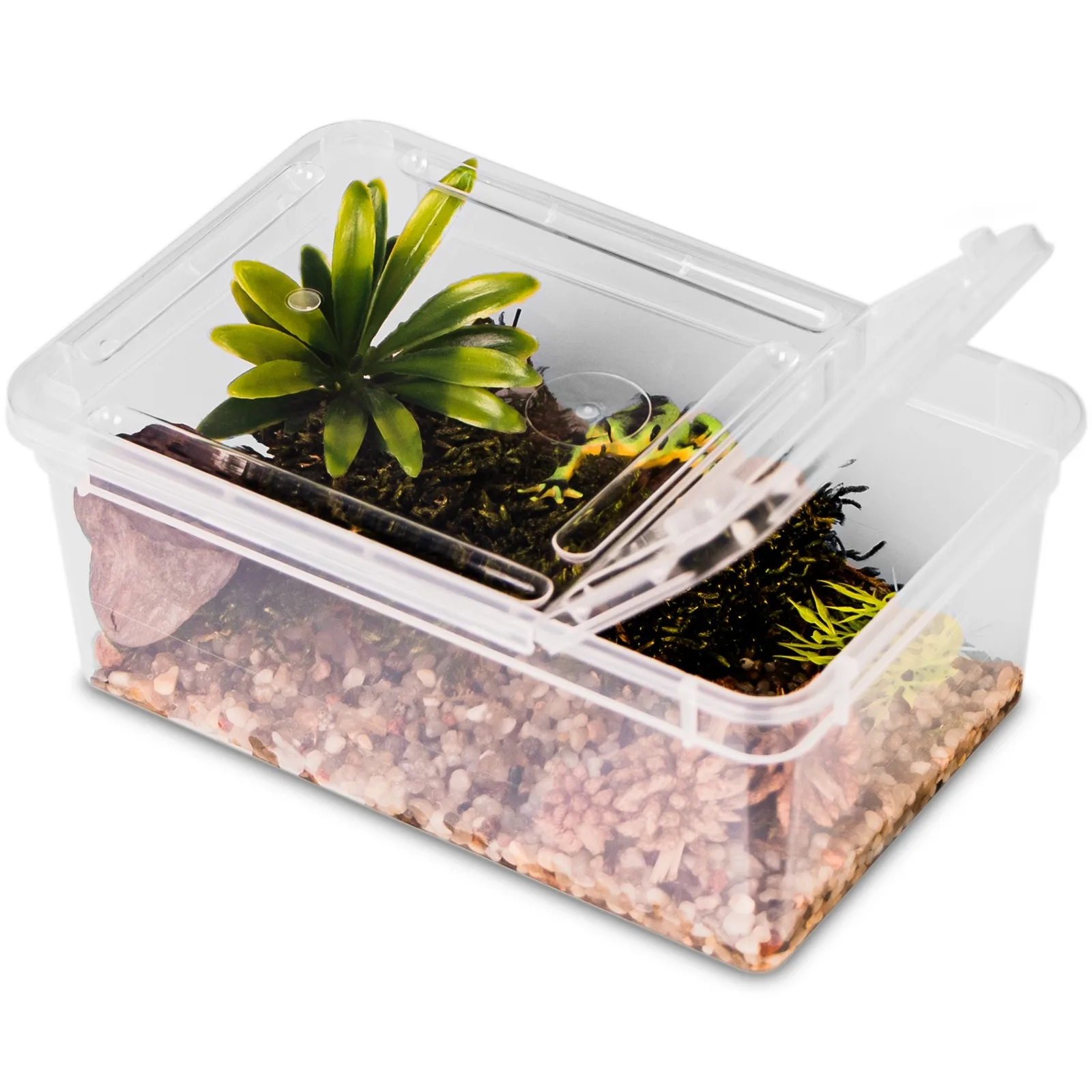 Reptiland 19x12x7,5cm - przeźroczyste terrarium faunarium