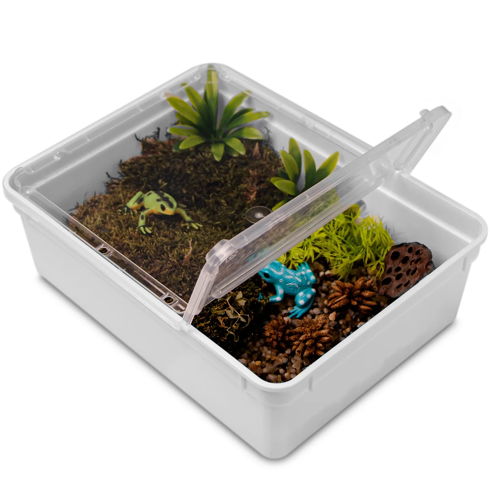 Reptiland White 25x19x7,5cm - białe terrarium faunarium