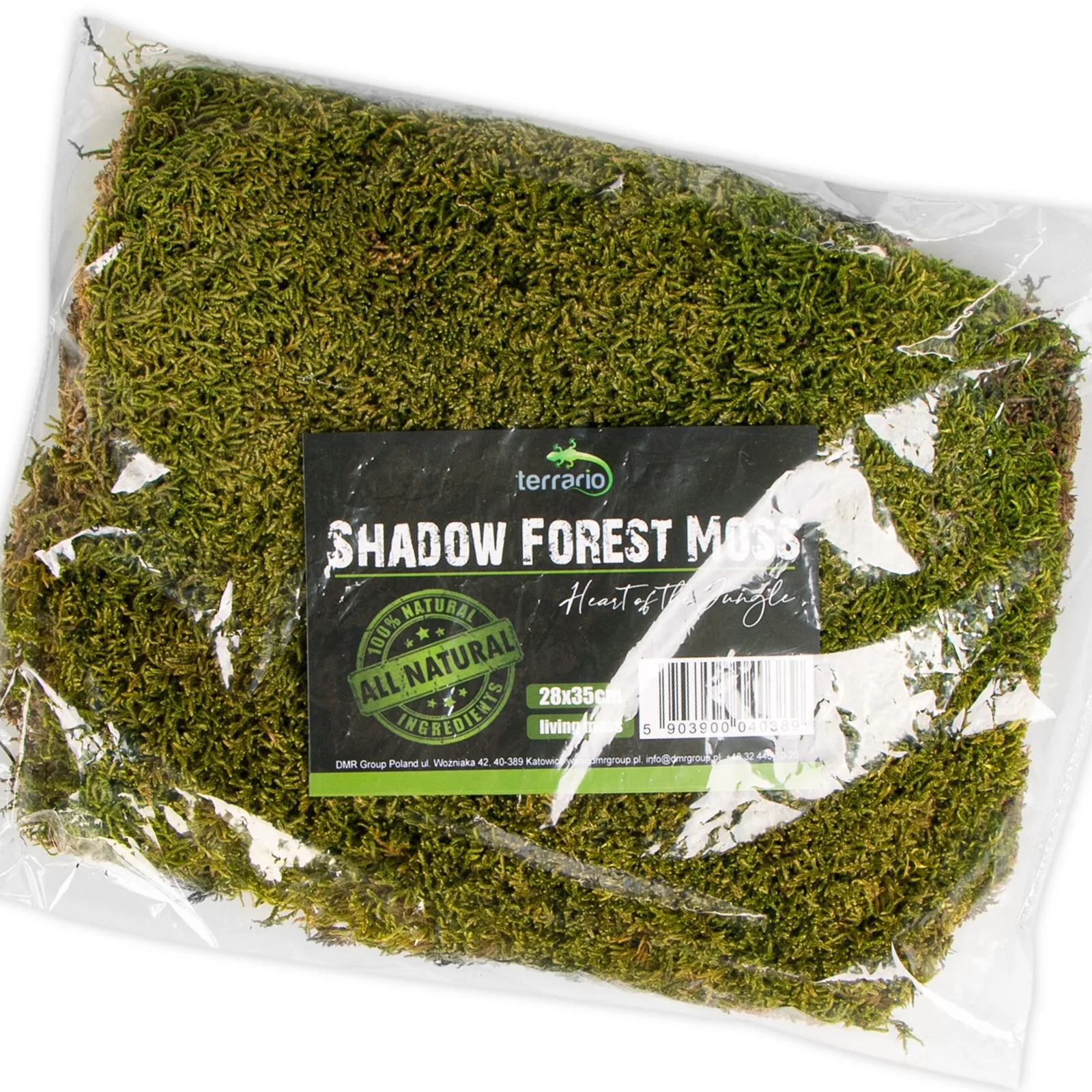 Shadow Forest Moss - mech naturalny 35x28cm