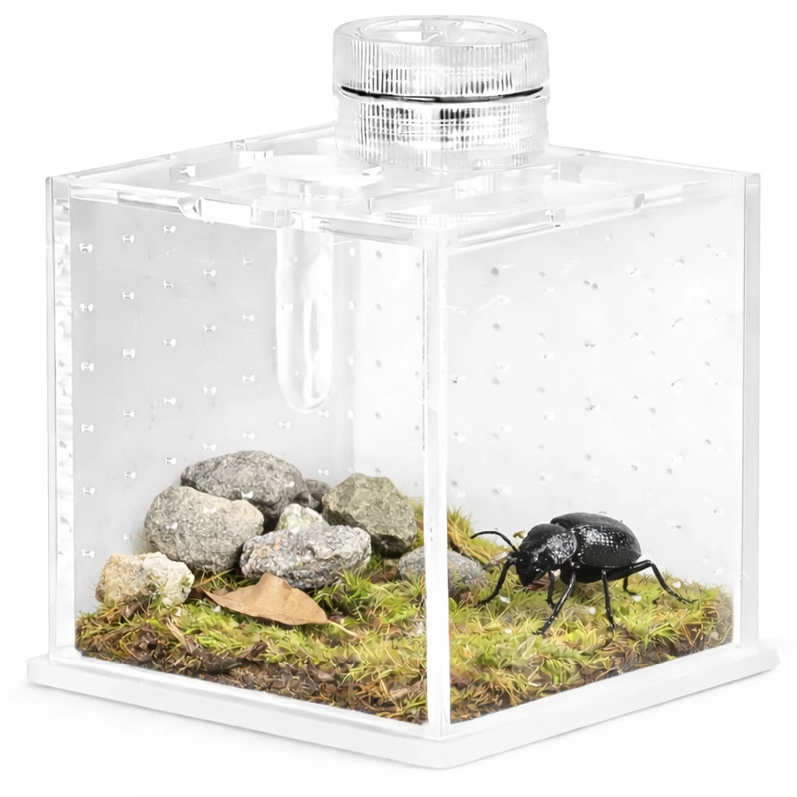SpiderNook L - mini terrarium akrylowe z oświetleniem