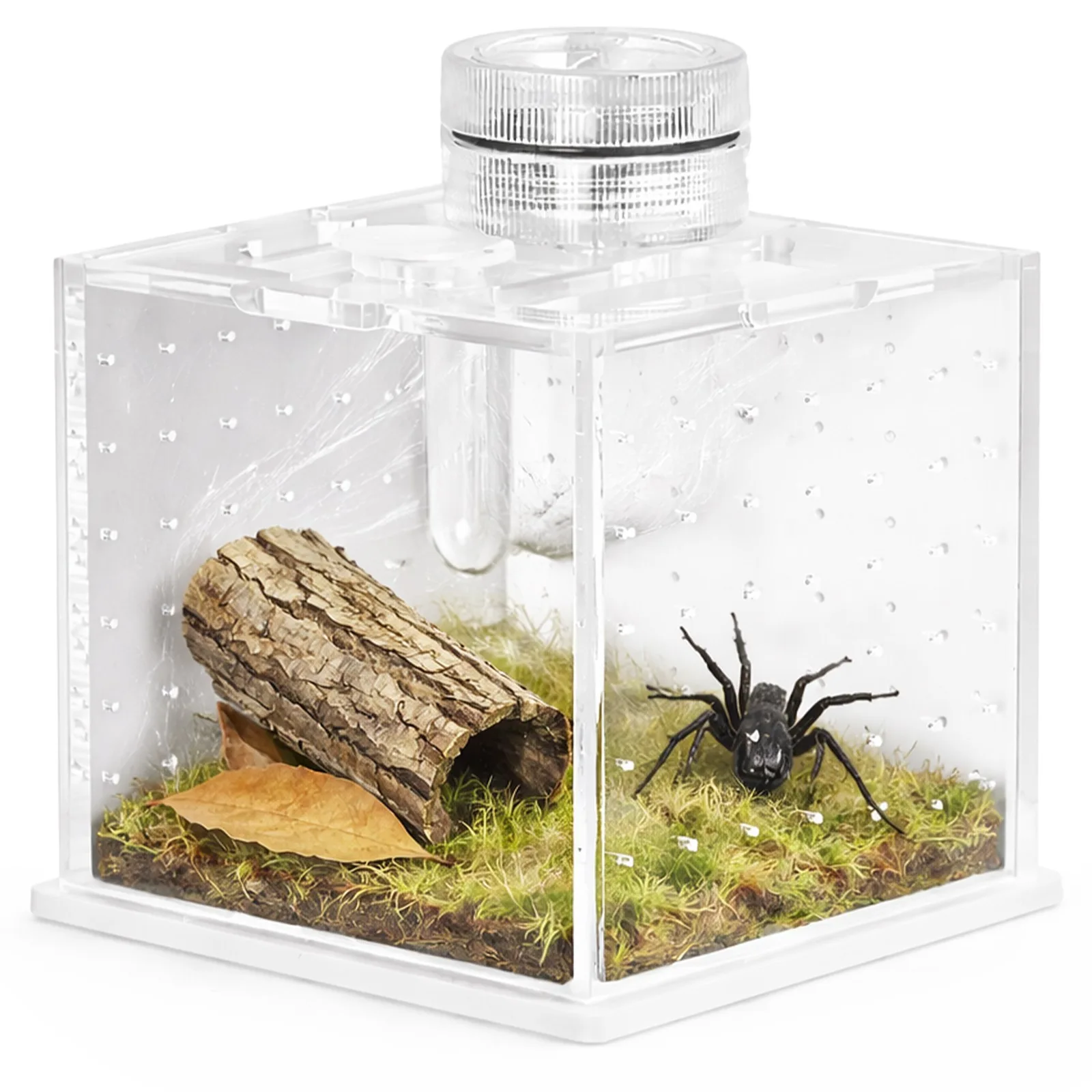 SpiderNook M - mini terrarium akrylowe z oświetleniem