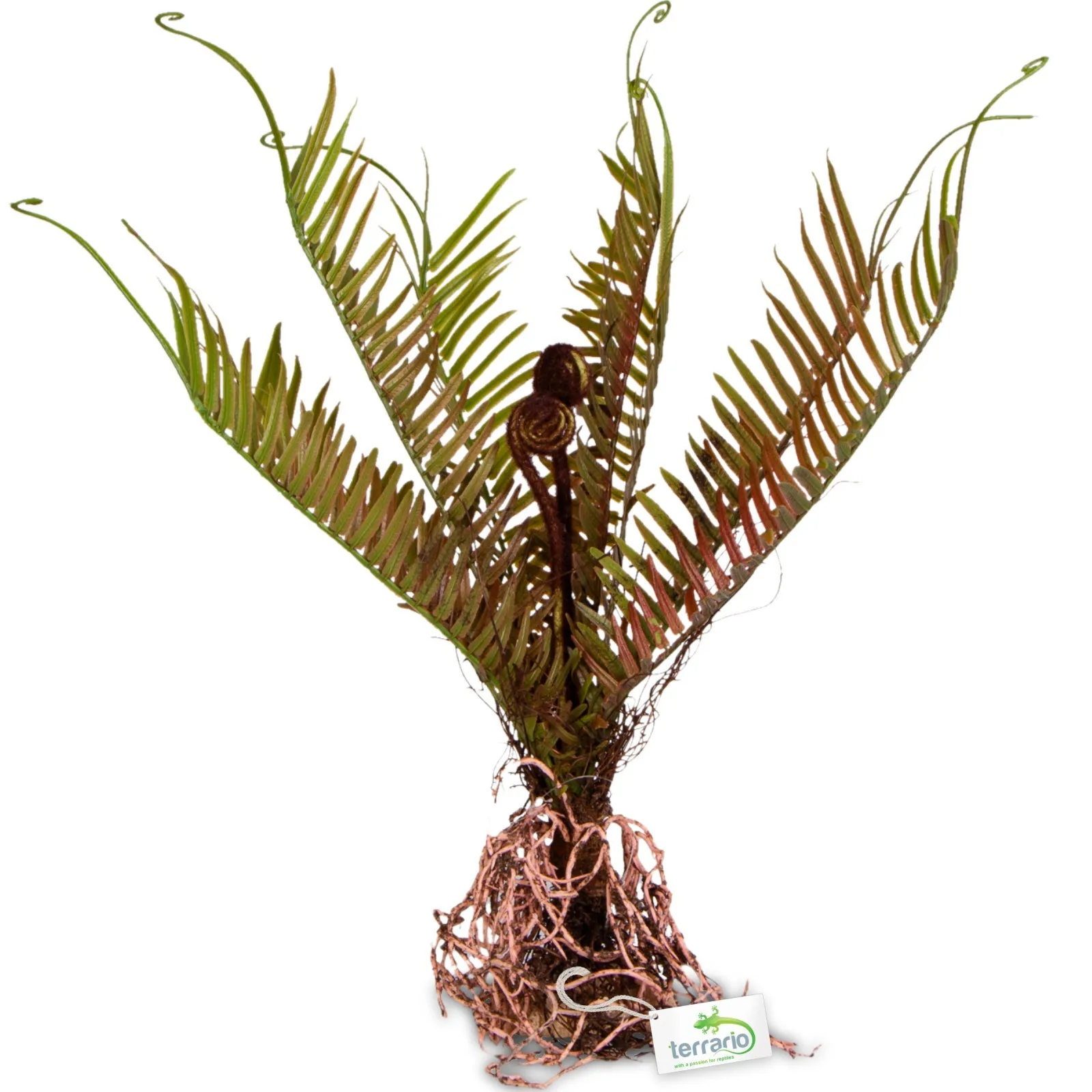 Sztuczna roślina do terrarium - Paproć 40x14x41 cm