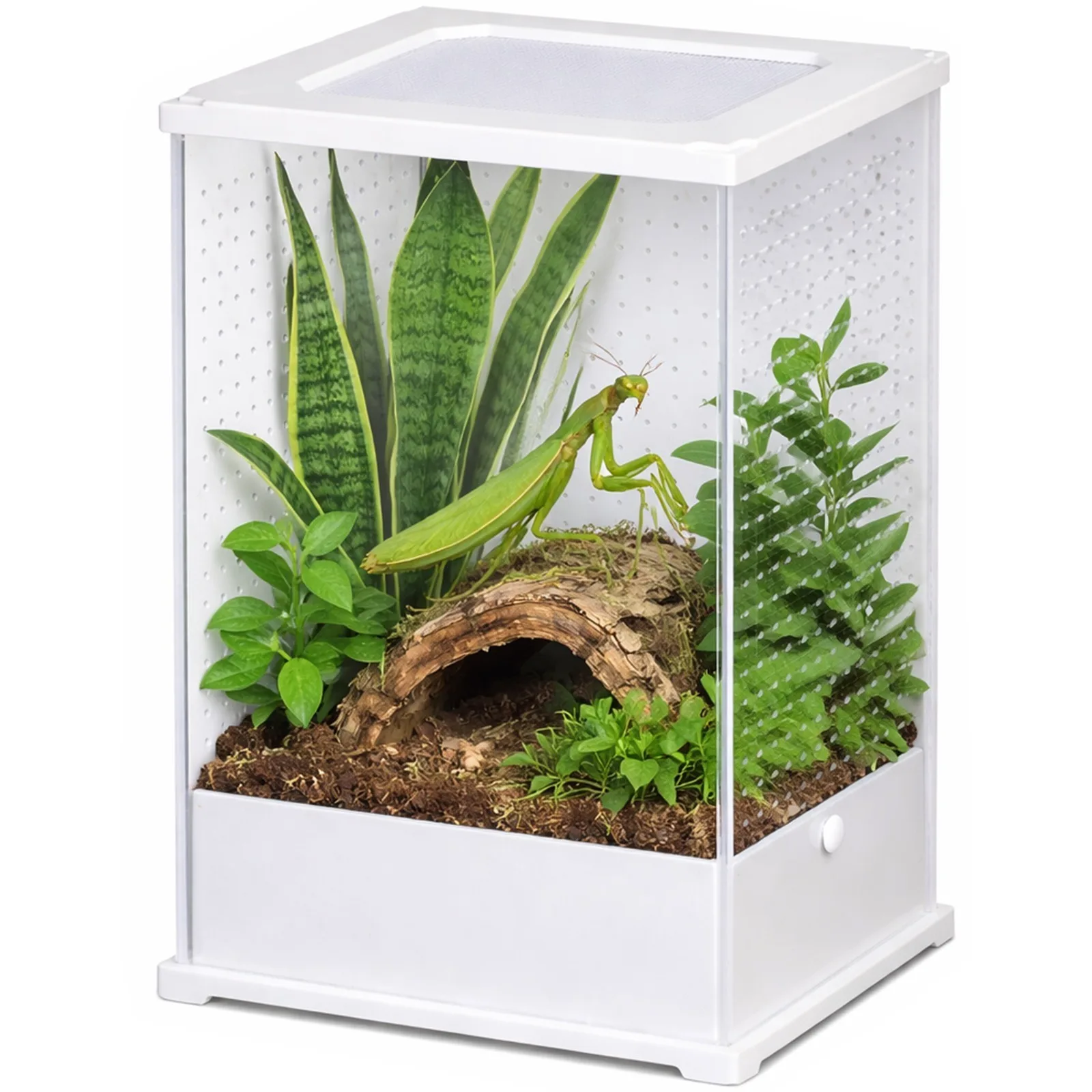 TerraLoom M - terrarium 10x8x15cm